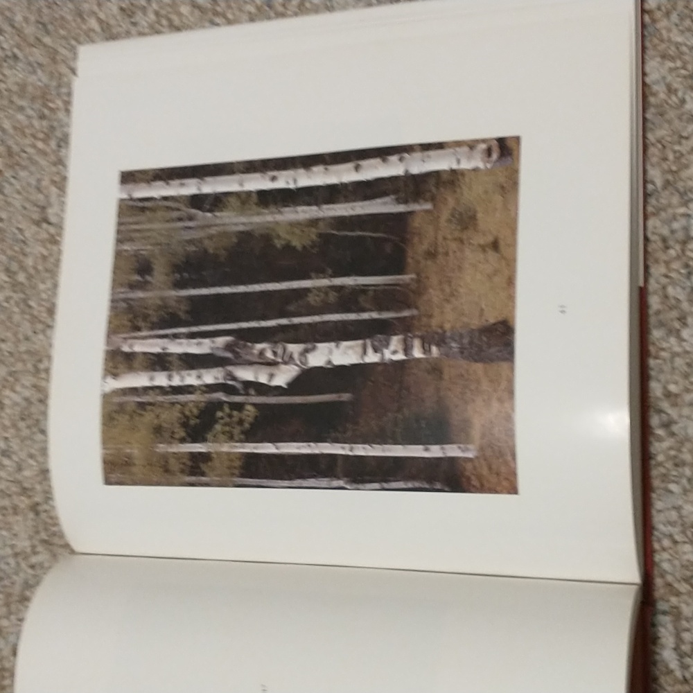 Ansel Adams In Color Coffee Table Book - Picture 7 of 9